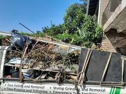 Best Hoarding Cleanup  in Whiteville, NC